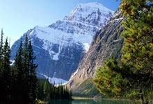 关于阿森纳遭遇两连平，欧战希望渺茫的信息